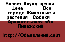 Бассет Хаунд щенки › Цена ­ 20 000 - Все города Животные и растения » Собаки   . Архангельская обл.,Пинежский 